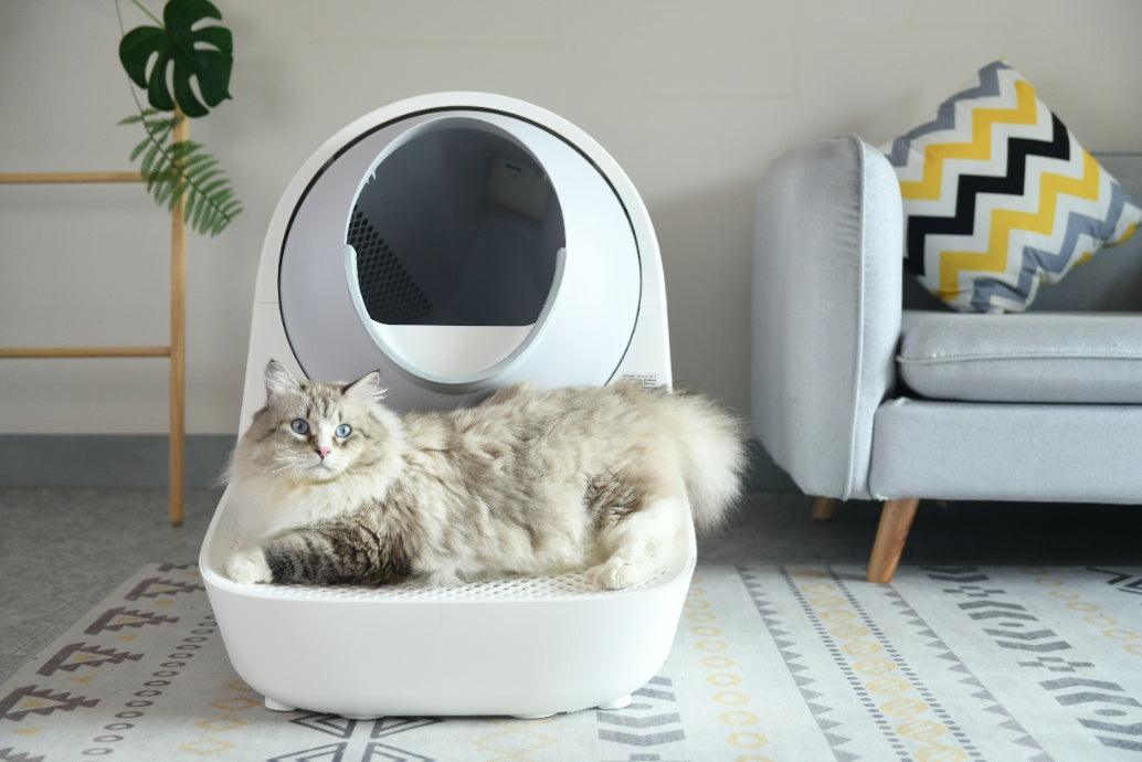 Bundle: <tc>Catlink</tc> Pro-X <tc>Luxury</tc> with stairs self-cleaning litter box + accessories