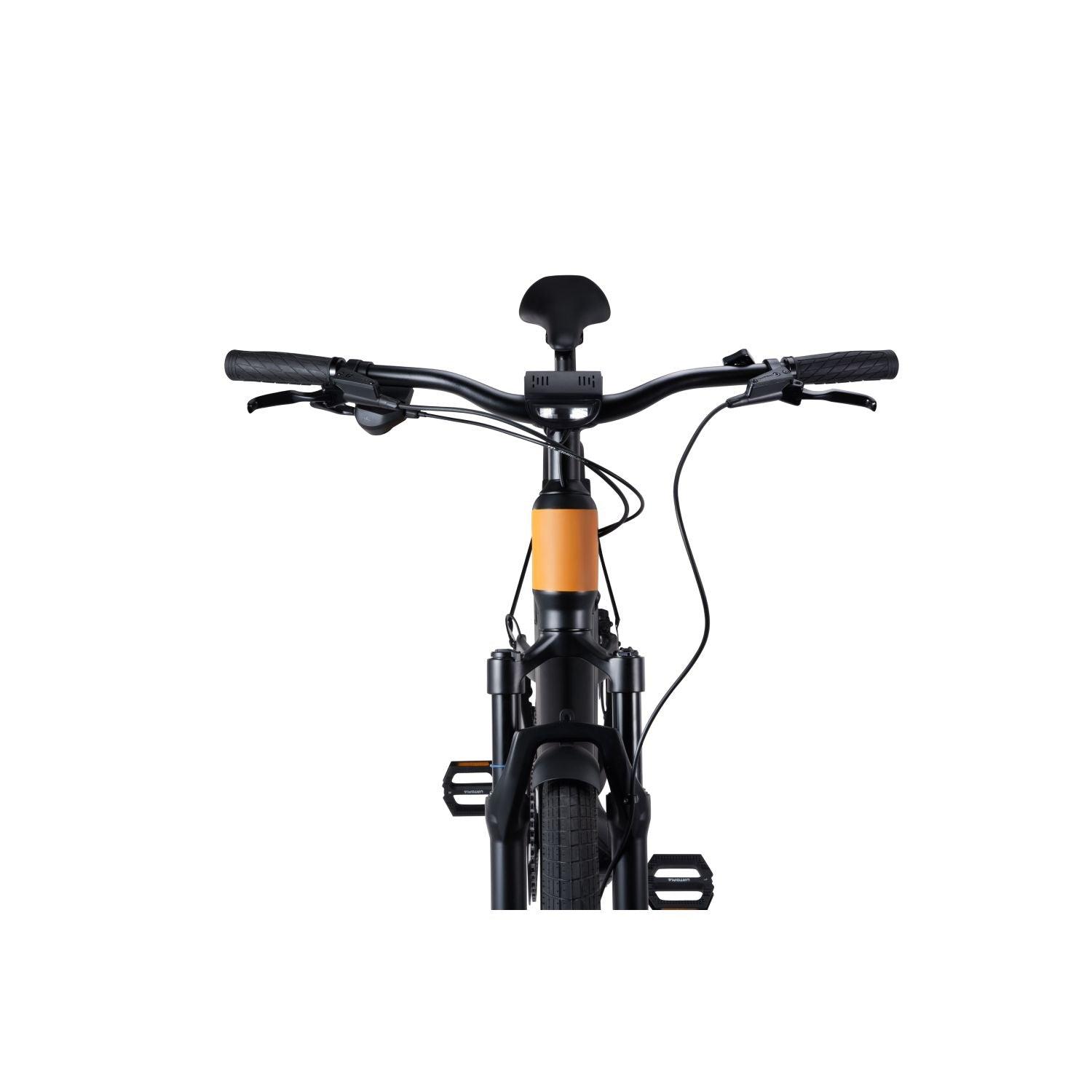 (65 € Werbegeschenk)Urtopia Fusion, Smartes Carbon E-Bike mit Sprachsteuerung - Twopoint