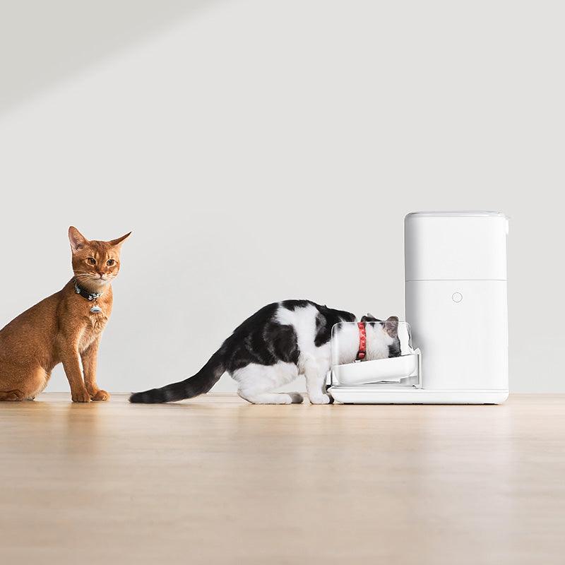 CATLINK Automatic Feeder Fresh 2 Luxury - Twopoint