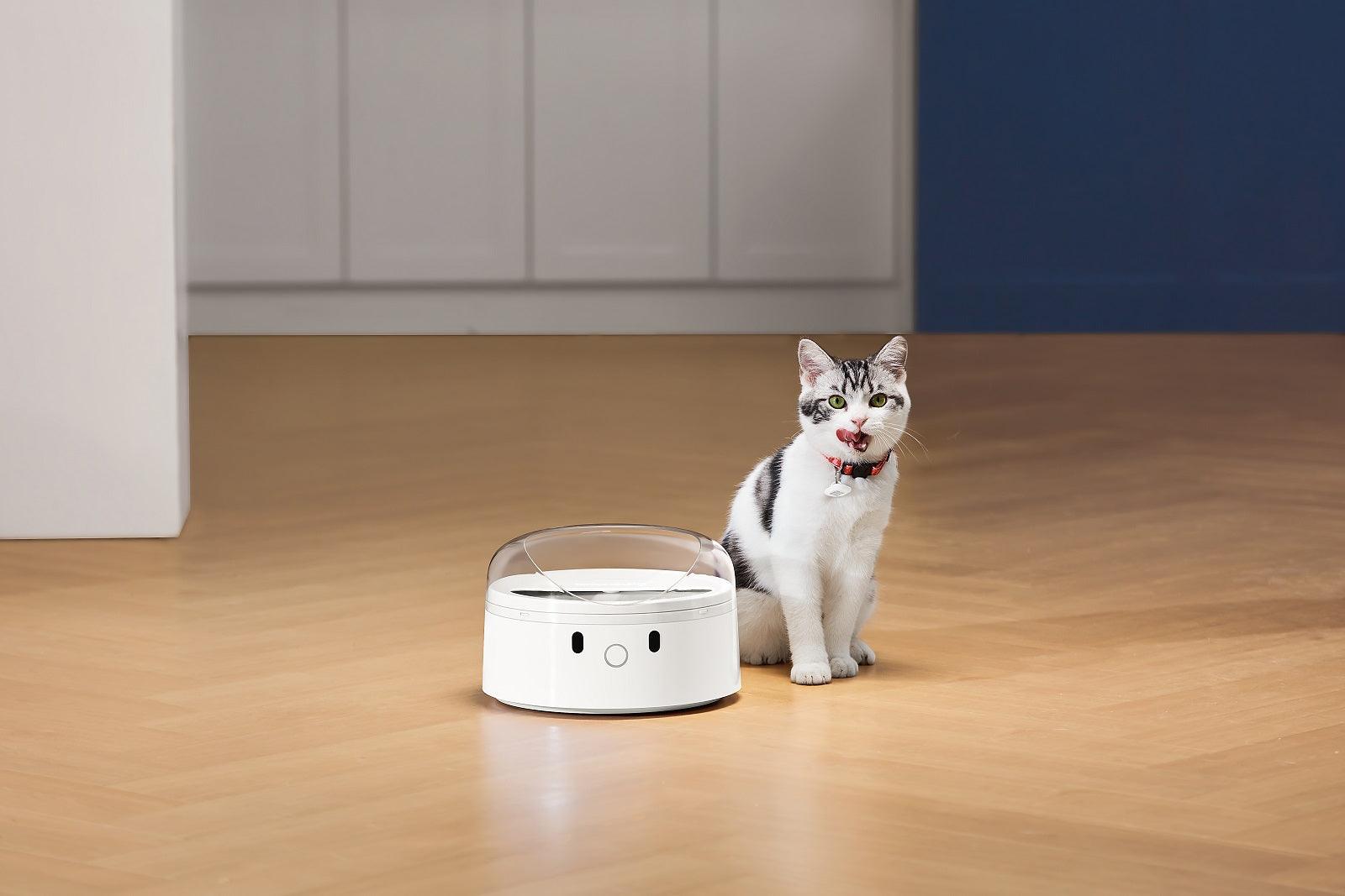 CATLINK RFID F03 Futterautomat für Haustiere
