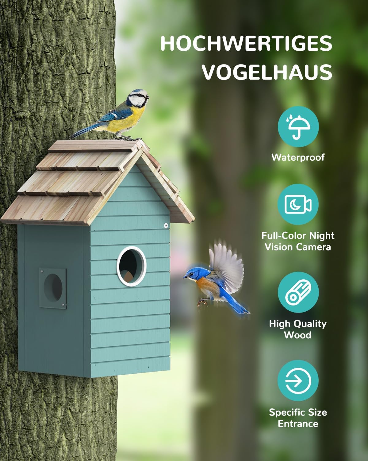 <tc>RAINBEAN</tc> Nest Box with Camera NB-E1 – 4 MP, Real-time Bird Watching, AI Detection, DIY, Blue
