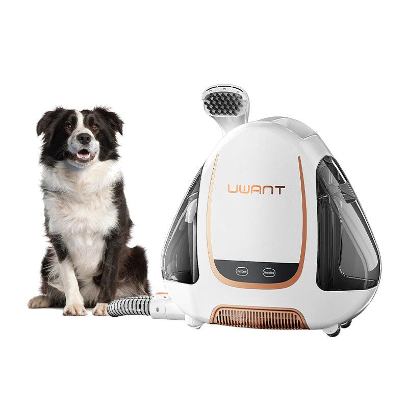 UWANT B100-S / B100-E Waschsauger Teppichreiniger - Twopoint