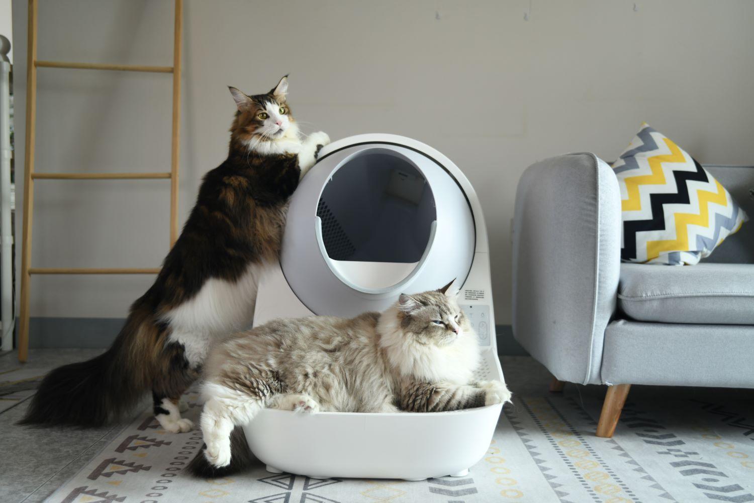 Was ist eine selbstreinigende Katzentoilette und wie funktioniert sie? - Twopoint