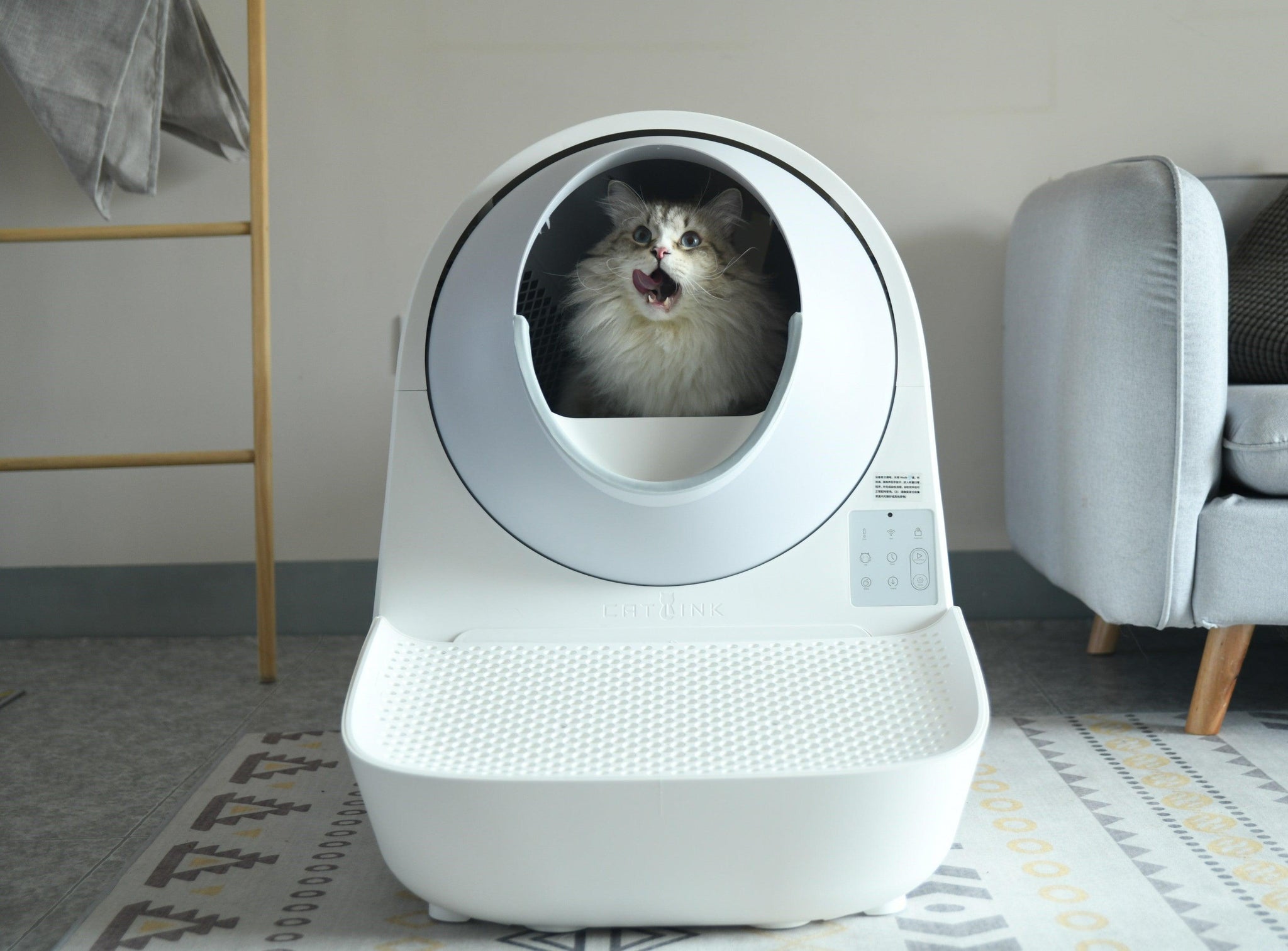 Die lohnenswerte Investition: Eine vollautomatische intelligente Katzentoilette - Twopoint