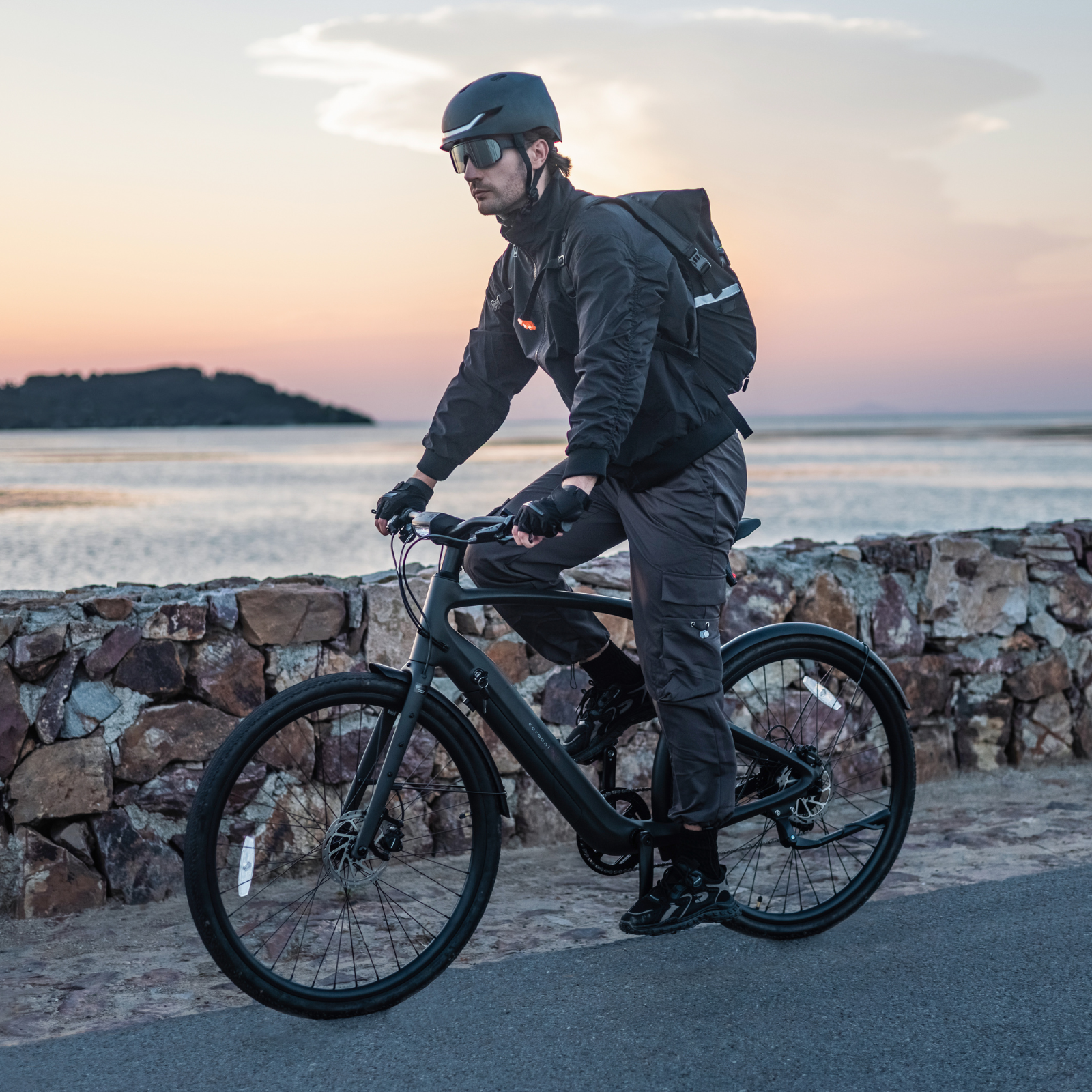 Carbon E-Bikes