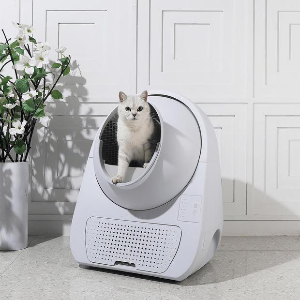 <tc>Catlink</tc> Cat litter box