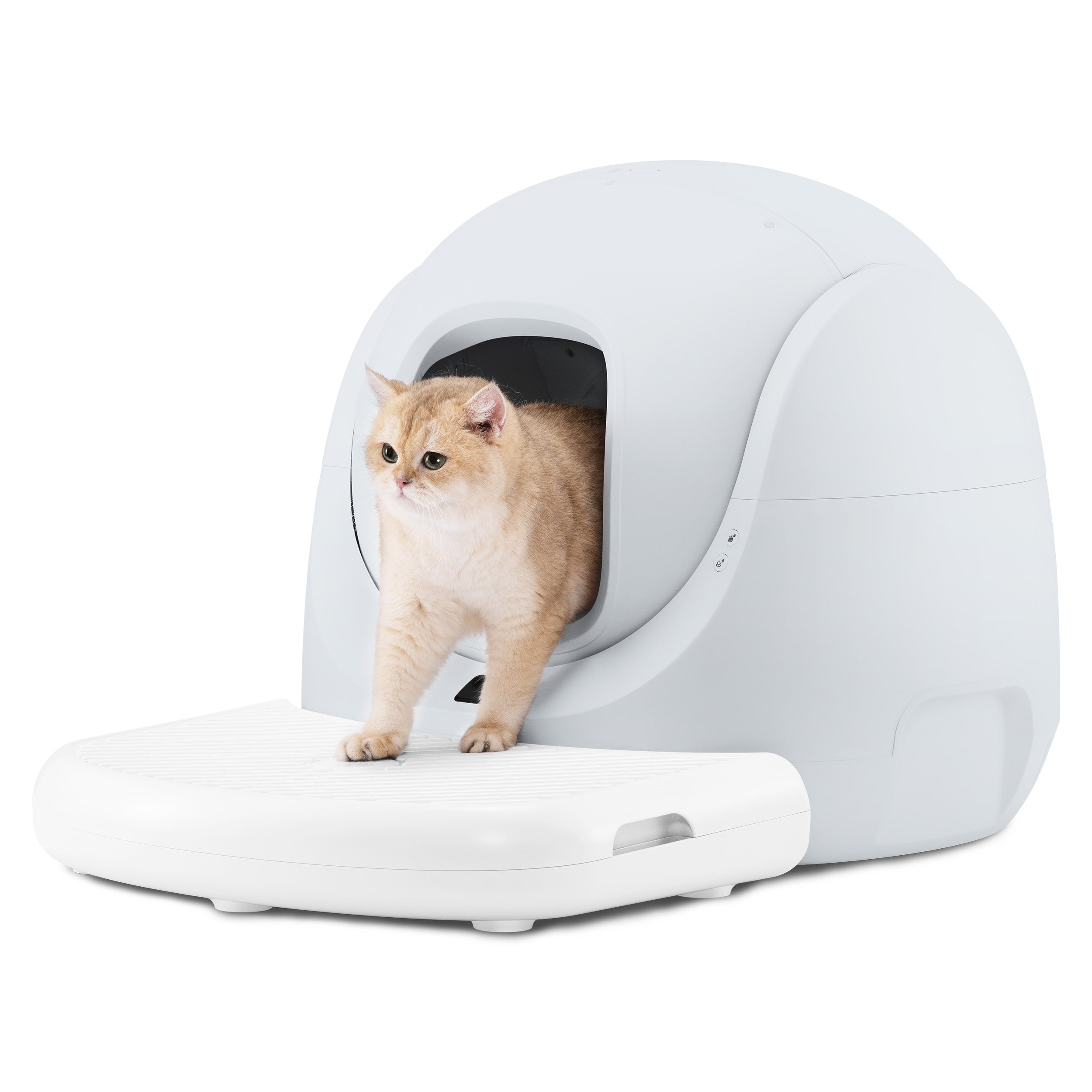 Catlink Baymax Lite(Grau) mit Treppe selbstreinigende Katzentoilette - Twopoint