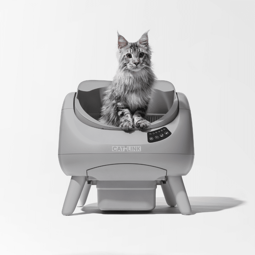 <tc>CATLINK</tc> Open-X Lite – Bac à litière ouvert et autonettoyant pour chat