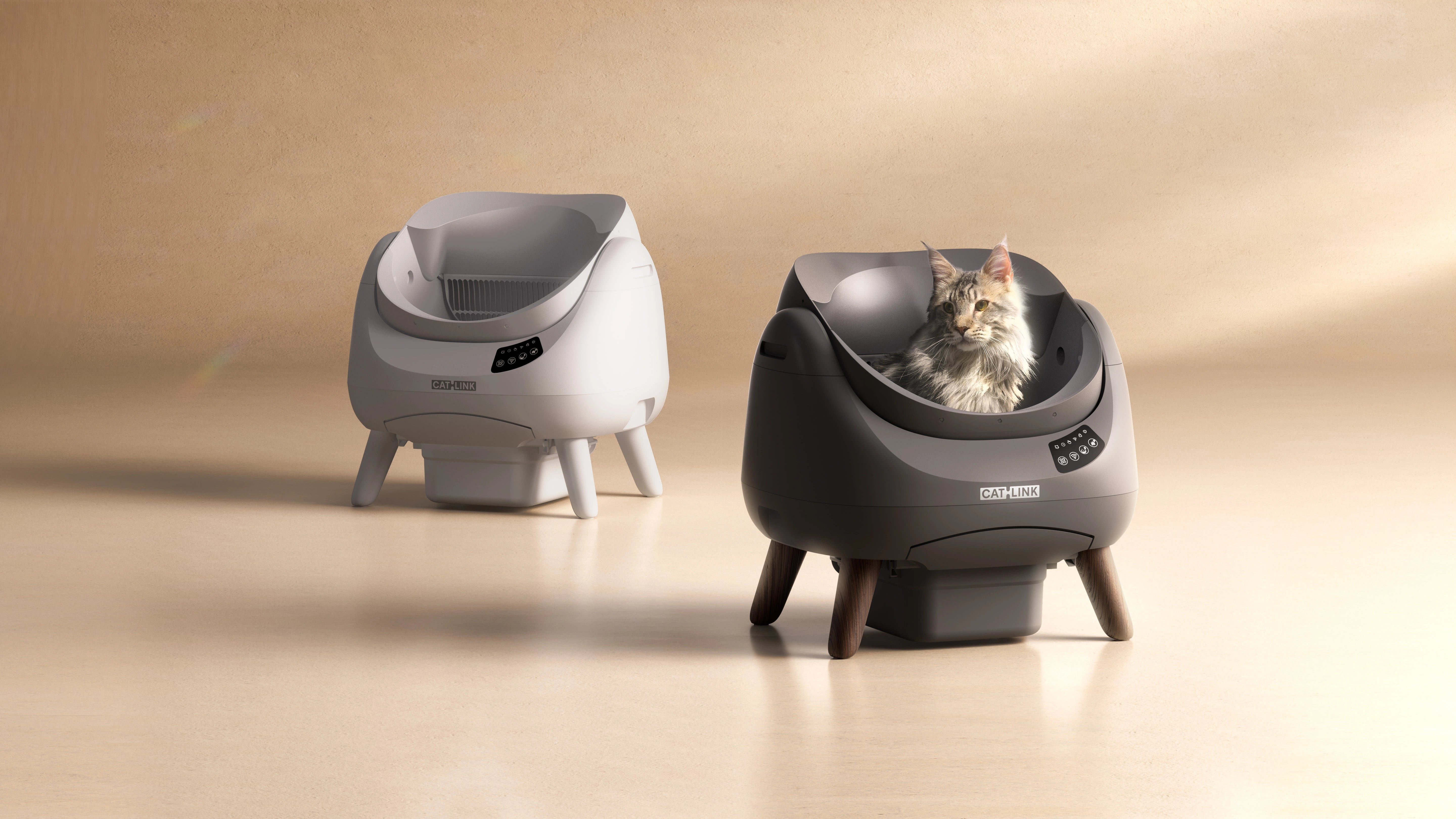 Catlink open-X.webp__PID:199c7589-4cc4-40fd-8eb1-3157e5fdf12a