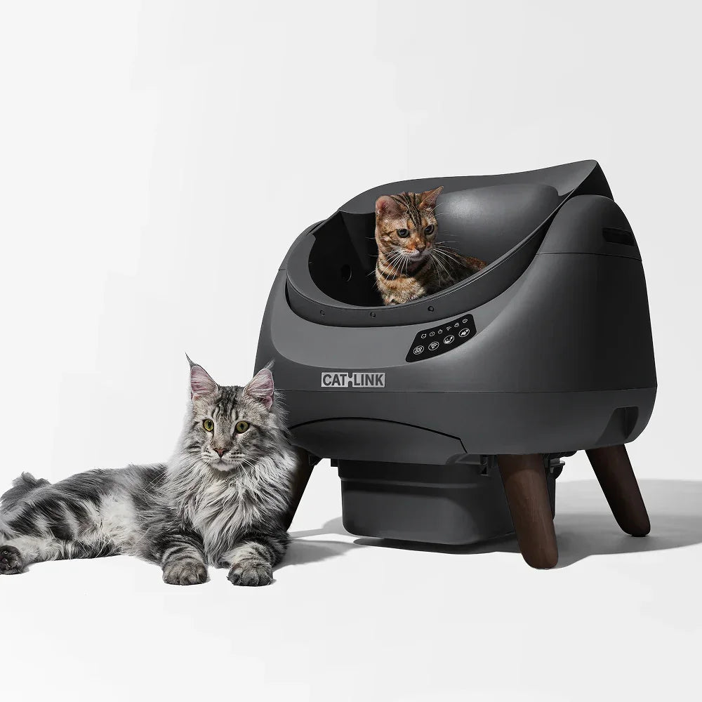 Two cats with a modern black Cat-Link automatic litter box on wooden legs in a studio setting