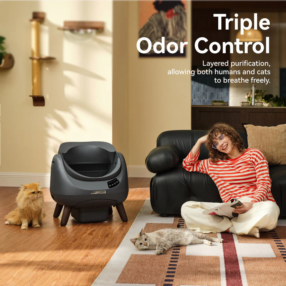 Catlink Open-X Offenes Selbstreinigendes Katzenklo