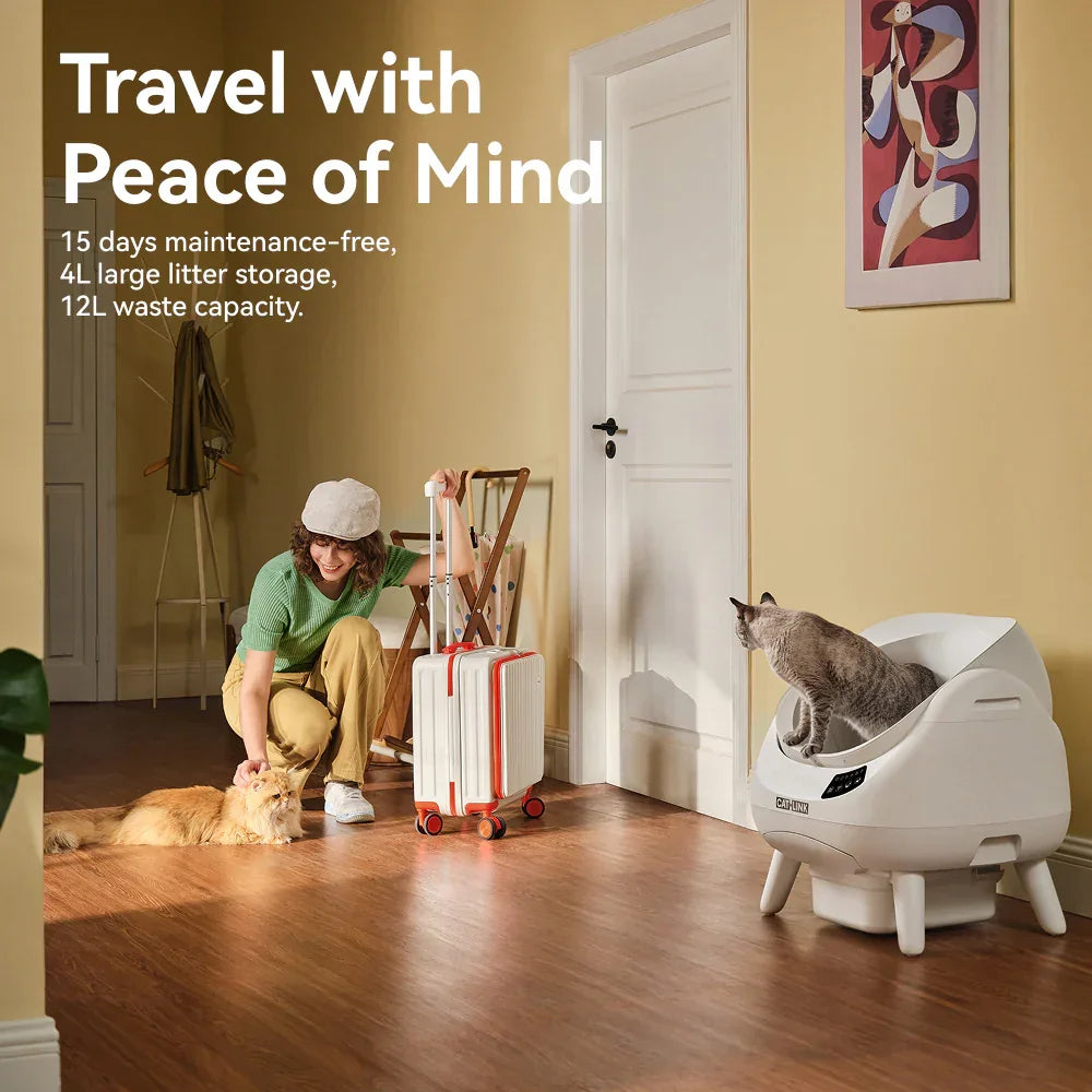 Woman with suitcase petting orange cat near automatic cat litter box with gray cat inside