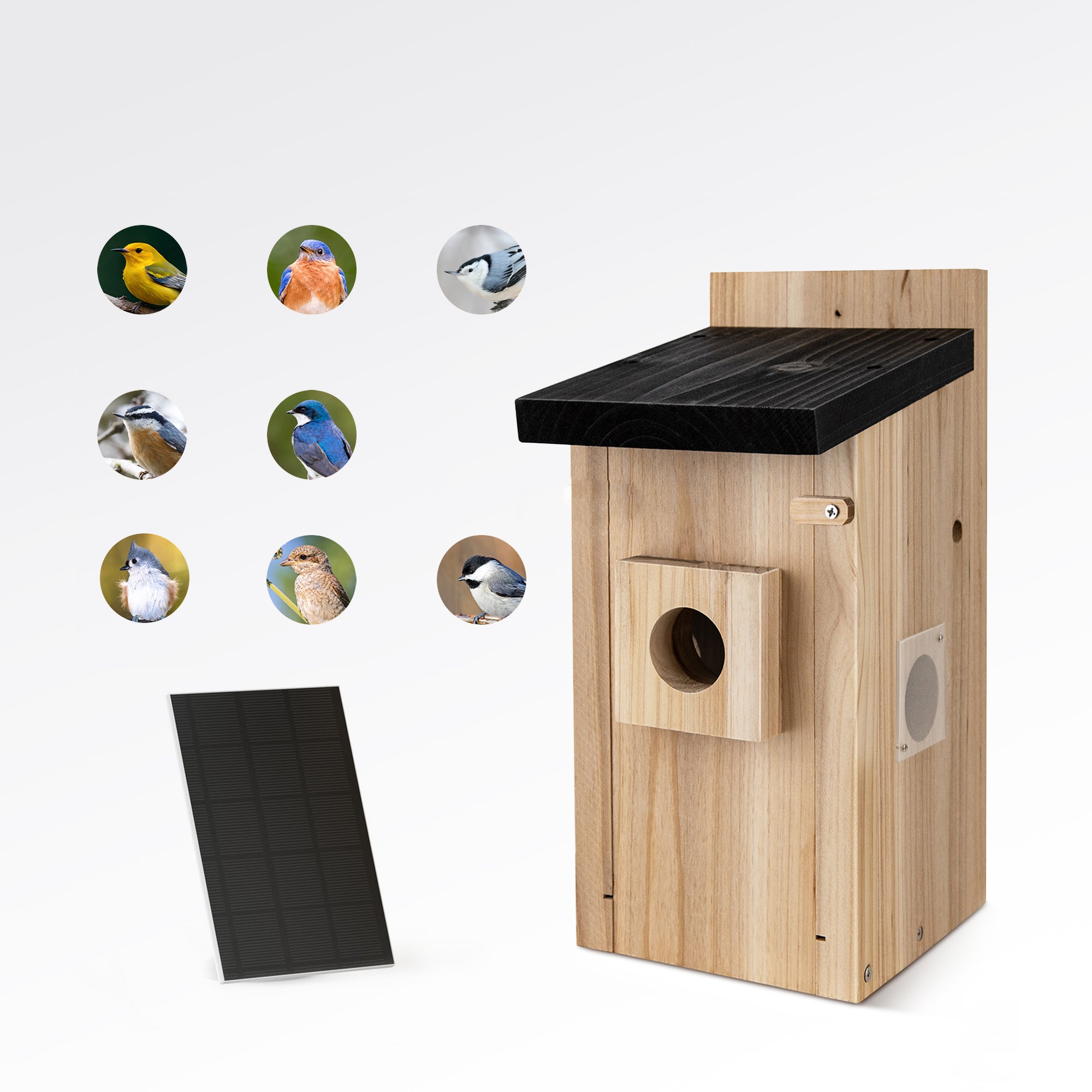 TWOPOINT Vogelhaus mit Kamera – 4MP HD, Solar, WLAN Live-Stream, Echtzeit-Vogelbeobachtung, DIY