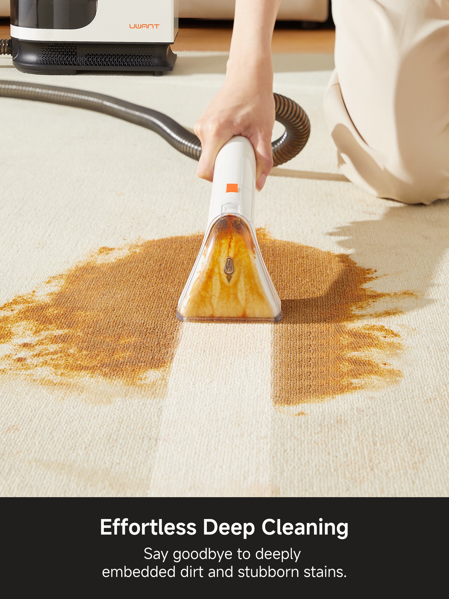 Hand vacuuming brown stains from beige carpet with Uwant carpet cleaner for deep stain removal