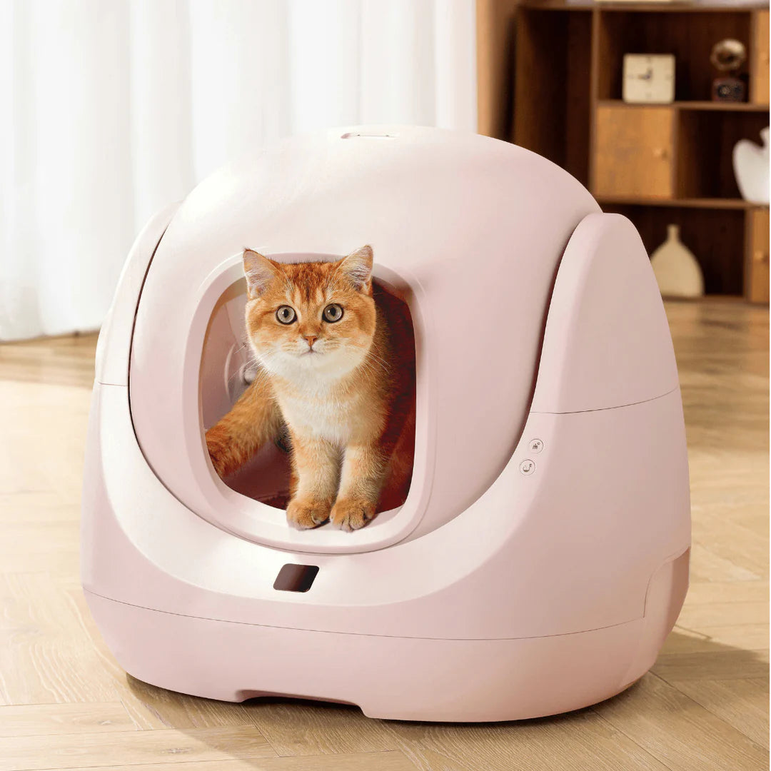 Catlink Baymax (Pink) Selbstverpackte Katzentoilette