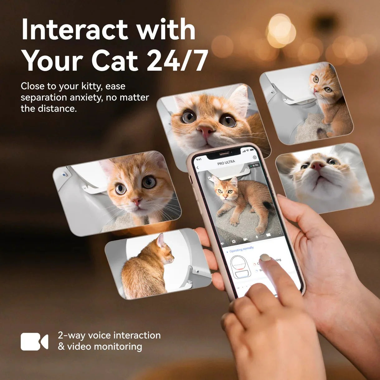 Catlink Pro-X Ultra zelfreinigende kattenbak