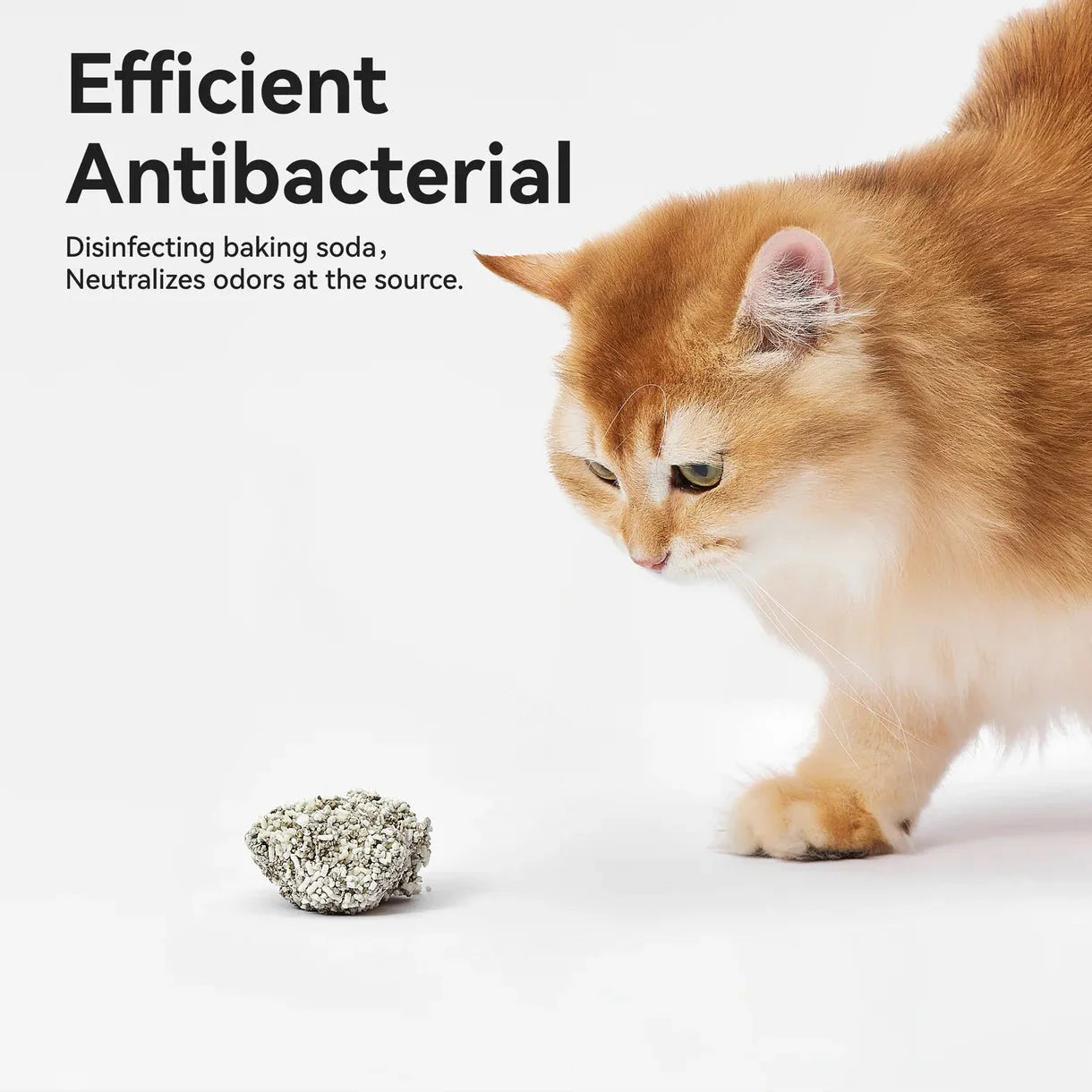 CATLINK Katzenstreu Mix – saugfähig & geruchsarm