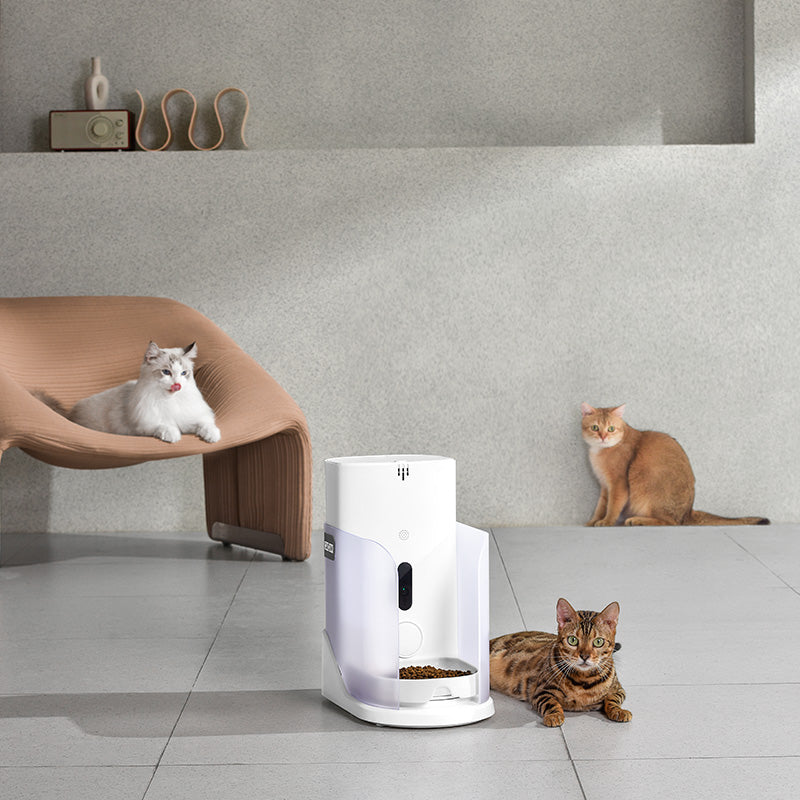 CATLINK Facelink Katzenfutterautomat mit Multi-Katzen-Erkennung - Twopoint