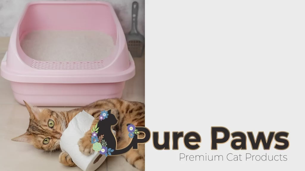 White Pure Paws Premium Bentonit Katzenstreu – 99,5 % staubfrei & stark klumpend