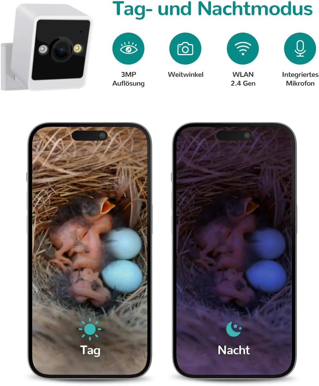 Compact white security camera with icons highlighting 3MP resolution, wide-angle, 2.4GHz WiFi, and built-in microphone, showing day and night baby bird nest surveillance on smartphone screens