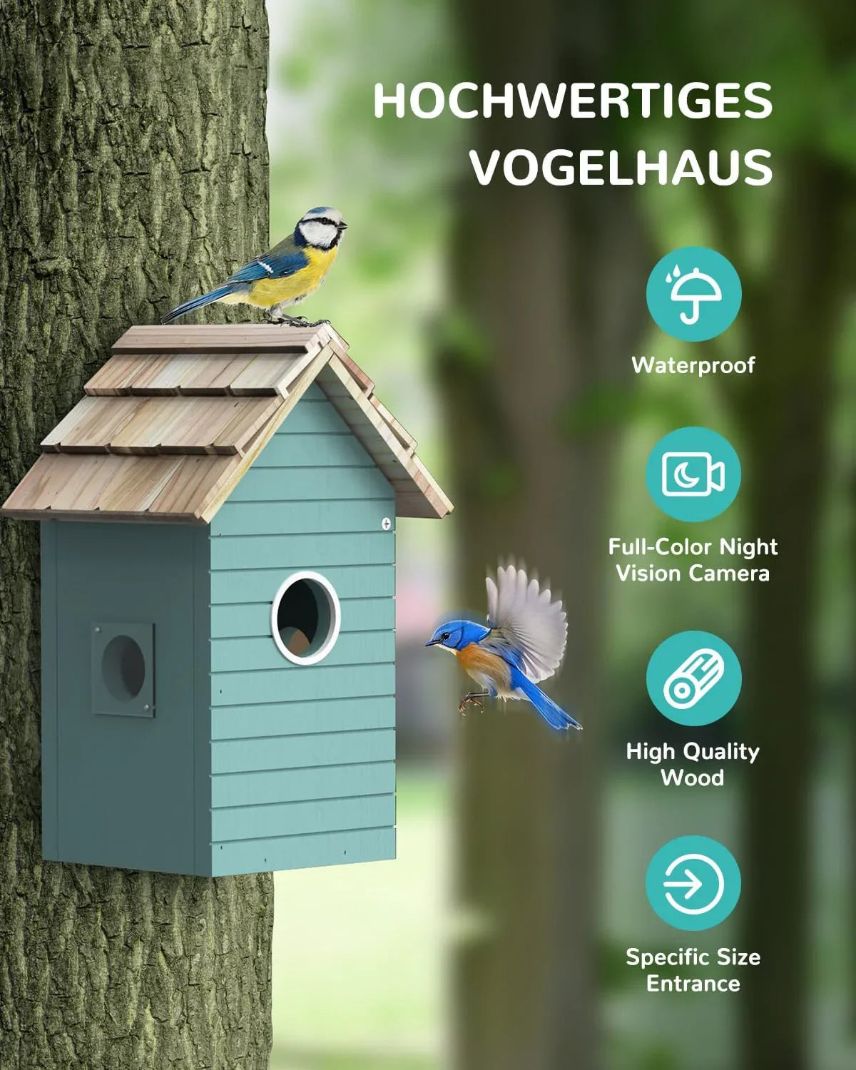 Blue and yellow birds on waterproof blue wooden birdhouse with night vision camera on tree