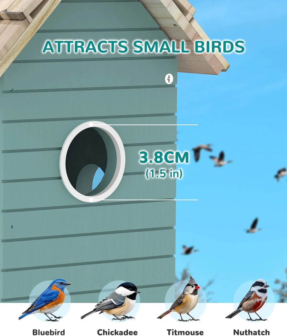 Blue wooden birdhouse with 3.8cm entrance hole attracts small birds like bluebird, chickadee, titmouse, nuthatch
