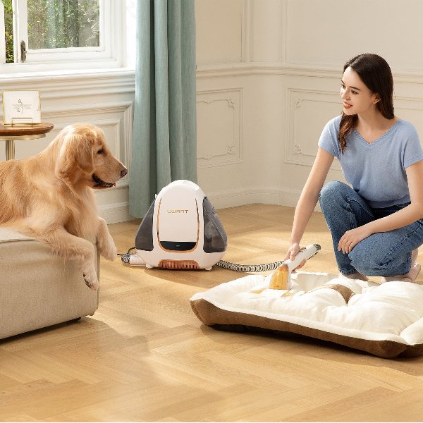 Woman cleaning pet bed with Uwant B100 carpet spot cleaner next to golden retriever on couch