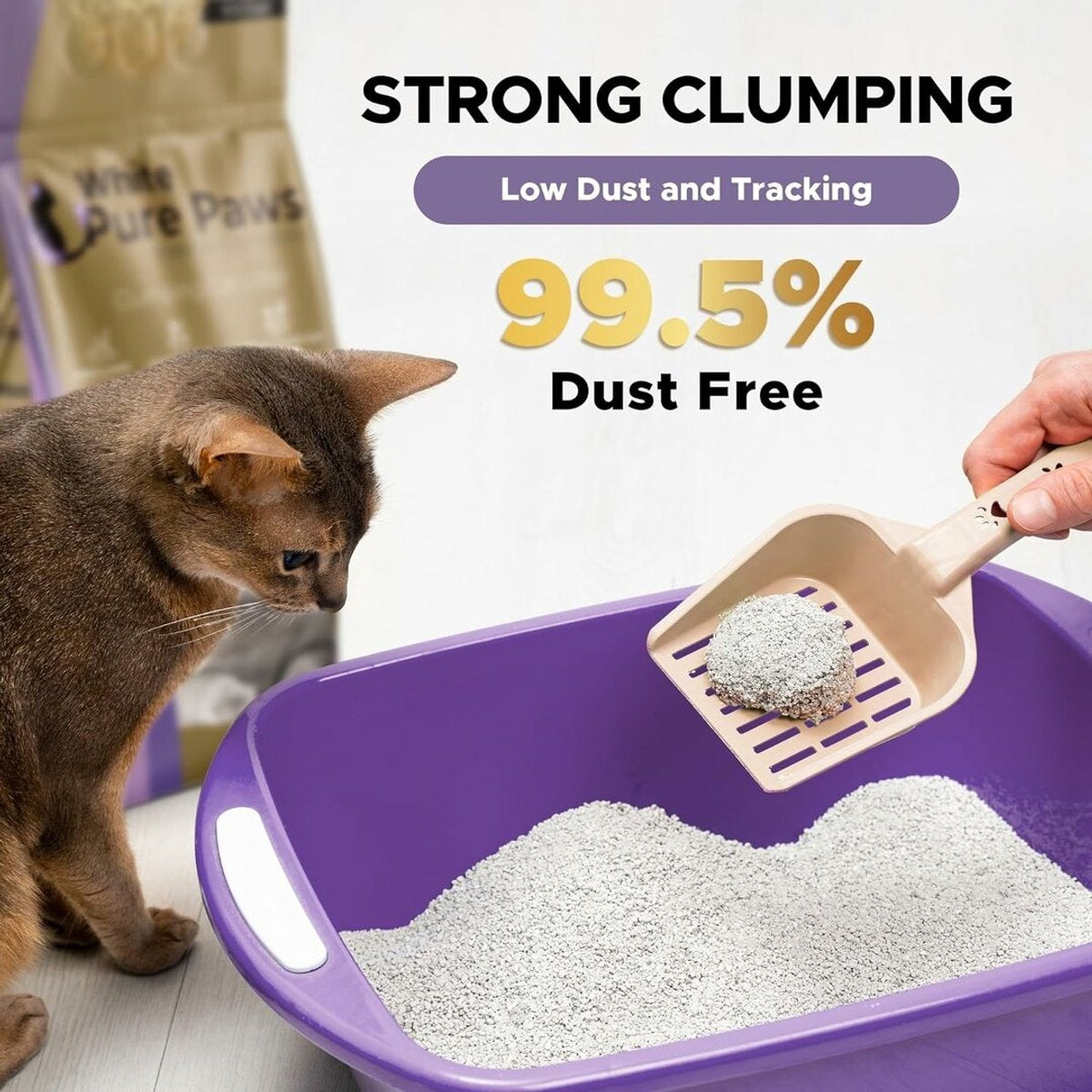 Arena para gatos de bentonita premium White Pure Paws: 99,5 % libre de polvo  & altamente aglutinante